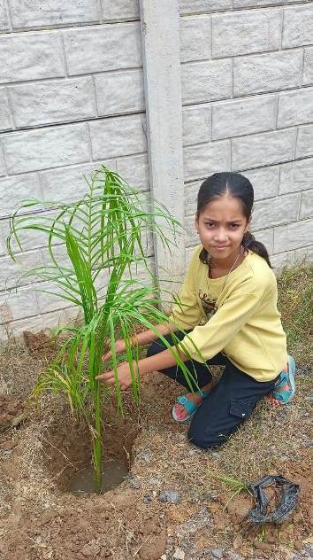 ECO CLUB ACTIVITY EK  PED KE NAAM 2.0